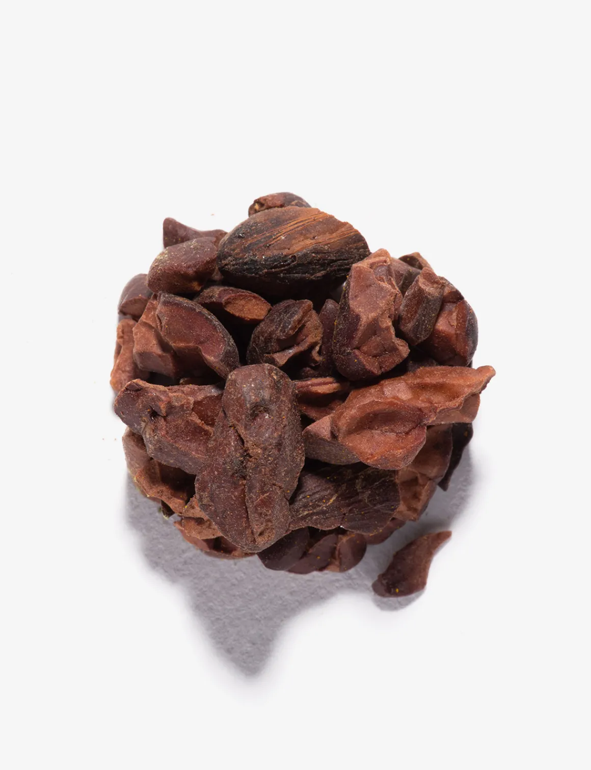 Cacao<DAMMANN Frères New